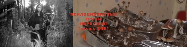 герыч Алексеевка